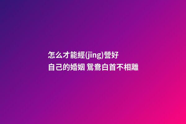 怎么才能經(jīng)營好自己的婚姻 鴛鴦白首不相離